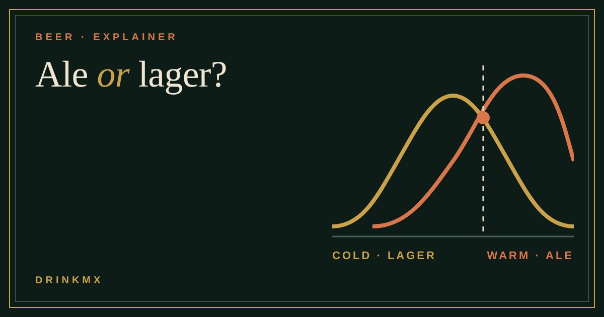 Two overlapping curves showing ale yeast active when warm and lager yeast active when cold, under the title Ale or lager?